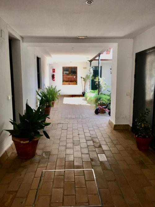 Apartamento La Terraza Azul Sevilla Exterior foto