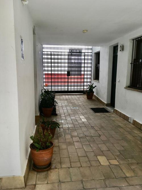Apartamento La Terraza Azul Sevilla Exterior foto