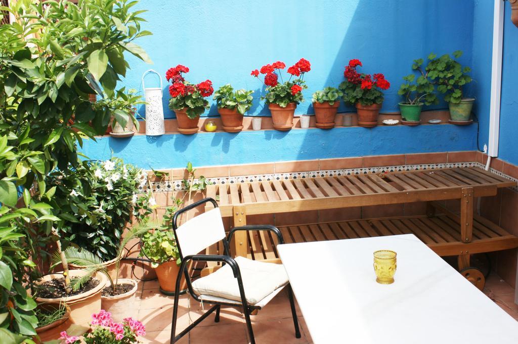 Apartamento La Terraza Azul Sevilla Exterior foto